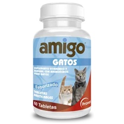 Amigo Gatos