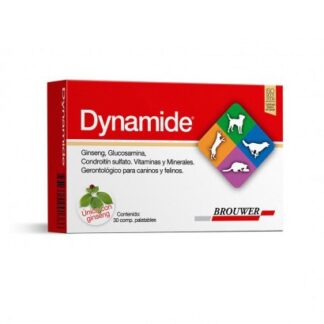 Dynamide