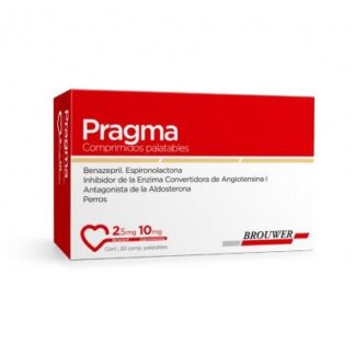 Pragma